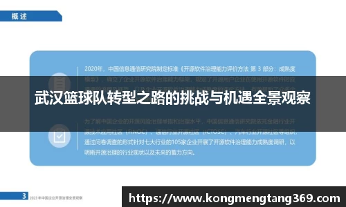 武汉篮球队转型之路的挑战与机遇全景观察